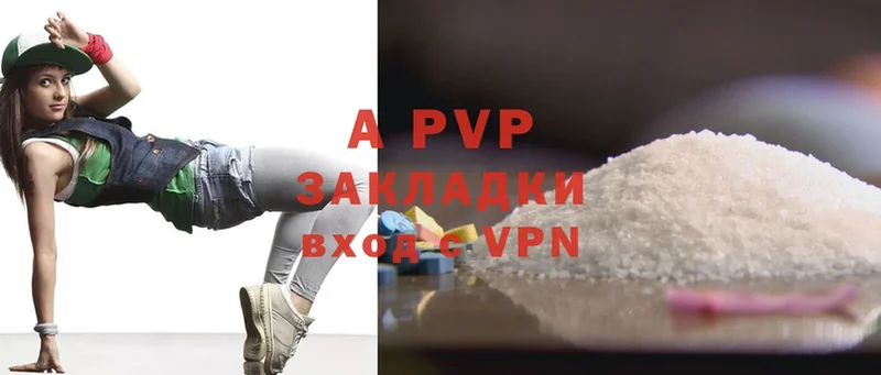 A PVP СК  Новодвинск 