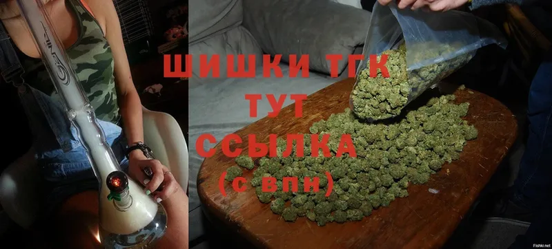 где можно купить   Новодвинск  Каннабис OG Kush 